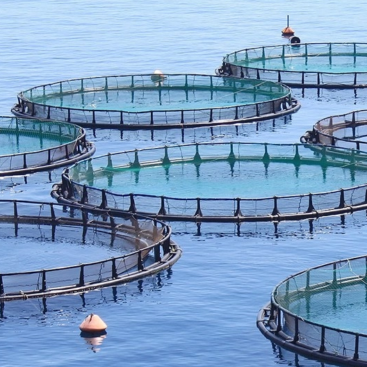Como prevenir falhas no selo mec&acirc;nico em ambientes desafiadores de pesca e aquicultura?